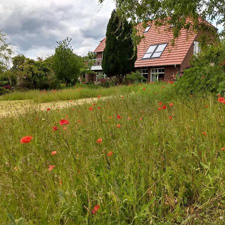 Haus Rosengarten- Ruhige Ferienwohnungen Im Gruenen Sehlen المظهر الخارجي الصورة