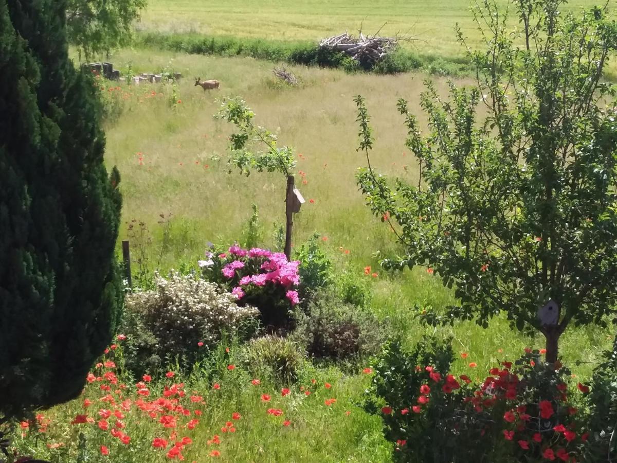 Haus Rosengarten- Ruhige Ferienwohnungen Im Gruenen Sehlen المظهر الخارجي الصورة