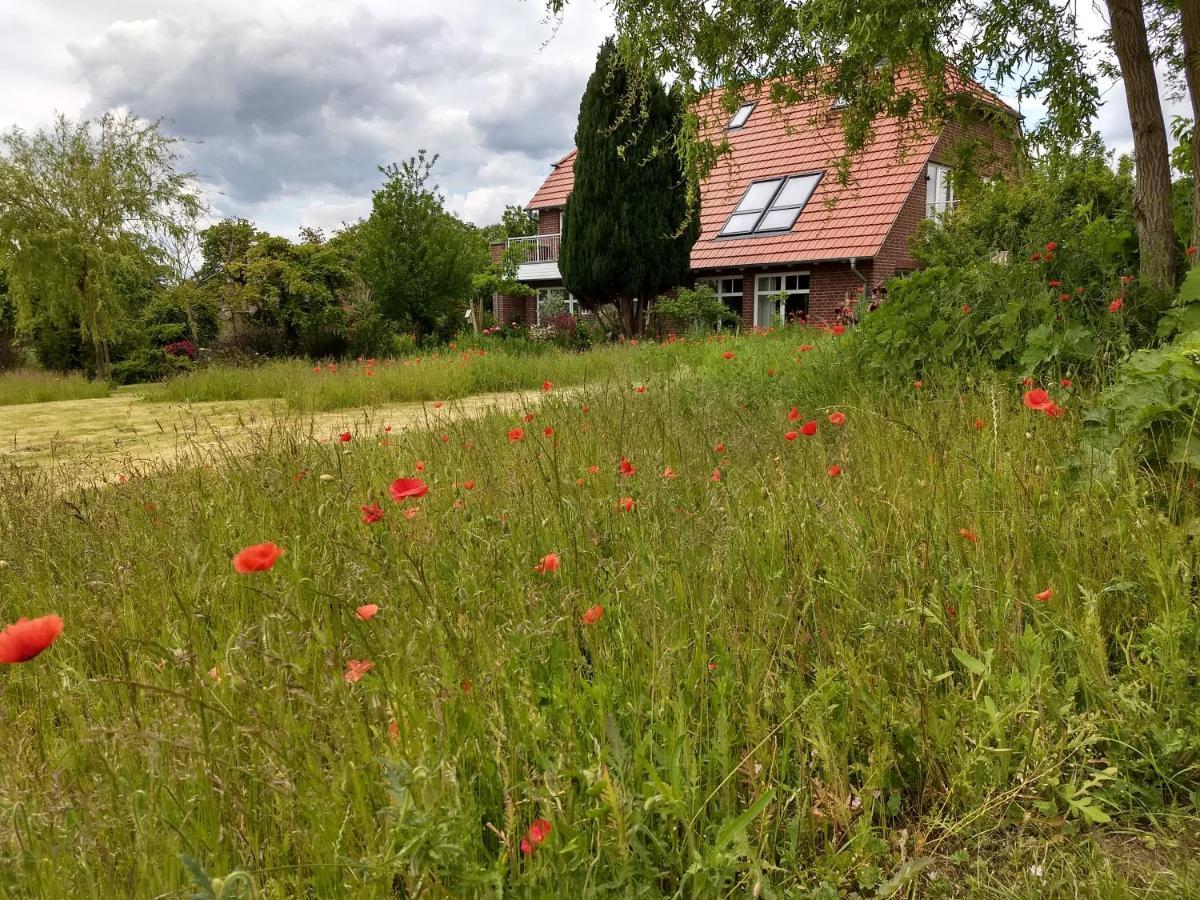 Haus Rosengarten- Ruhige Ferienwohnungen Im Gruenen Sehlen المظهر الخارجي الصورة